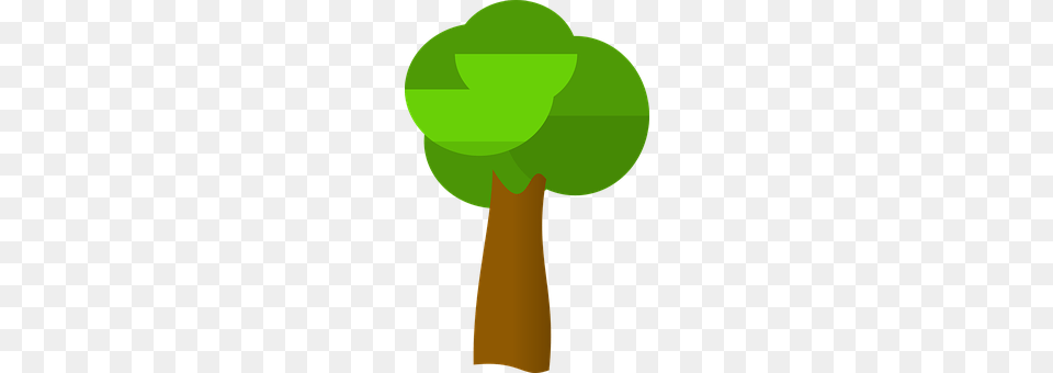 Tree Green, Person Free Transparent Png