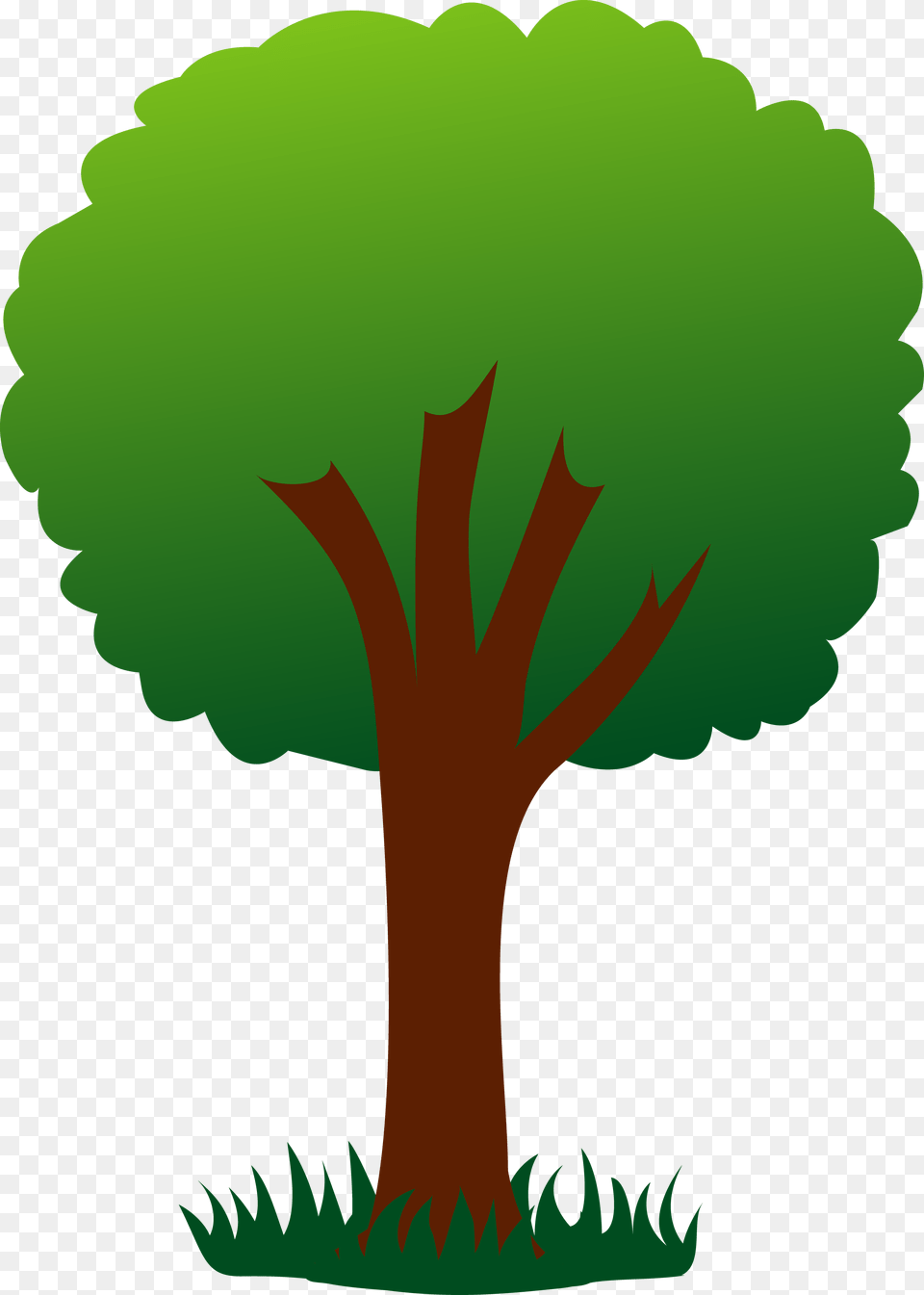 Tree, Green, Palm Tree, Plant, Leaf Png Image