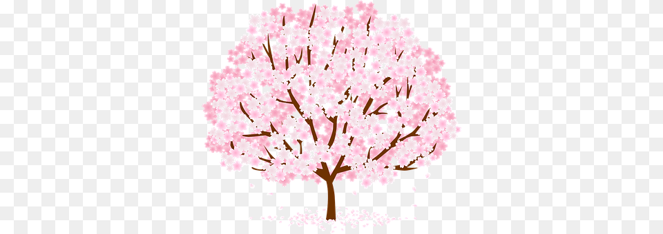 Tree Flower, Plant, Cherry Blossom, Chandelier Png Image