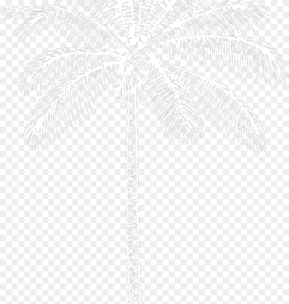 Tree, Palm Tree, Plant, Animal, Dinosaur Png Image