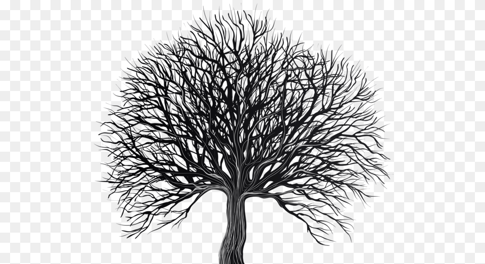 Tree, Art, Drawing, Plant, Nature Png Image
