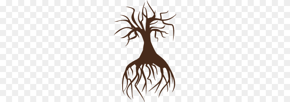 Tree Plant, Root, Person Free Transparent Png
