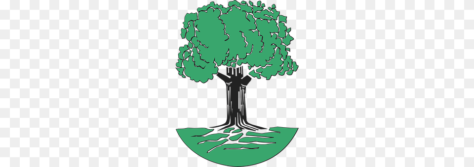 Tree Plant, Art, Person, Drawing Png