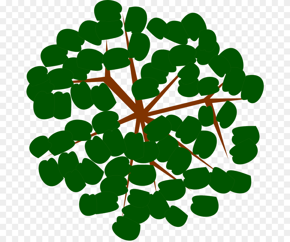 Tree, Green, Leaf, Plant, Vegetation Png Image