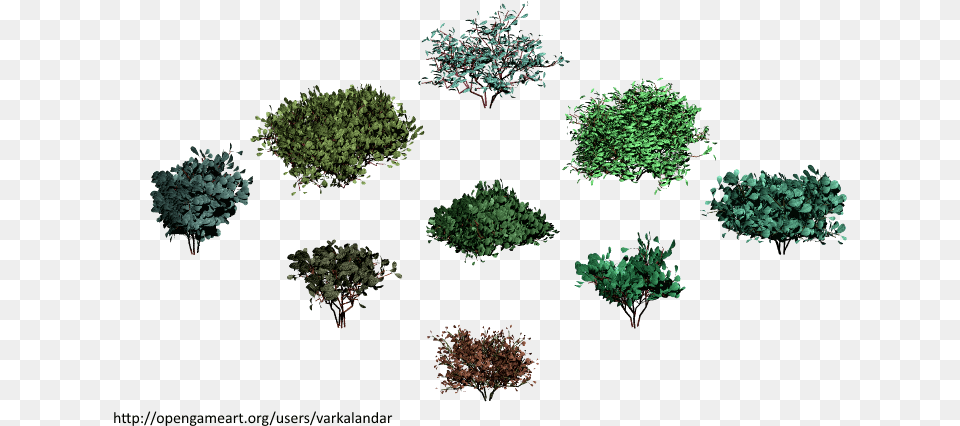 Tree, Vegetation, Plant, Pattern, Green Png