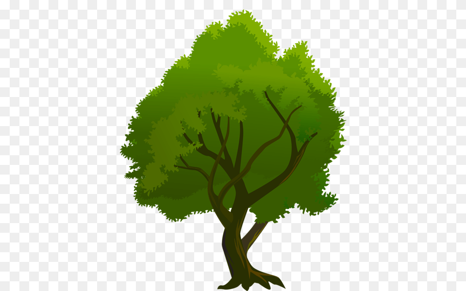 Tree, Green, Vegetation, Plant, Potted Plant Free Png