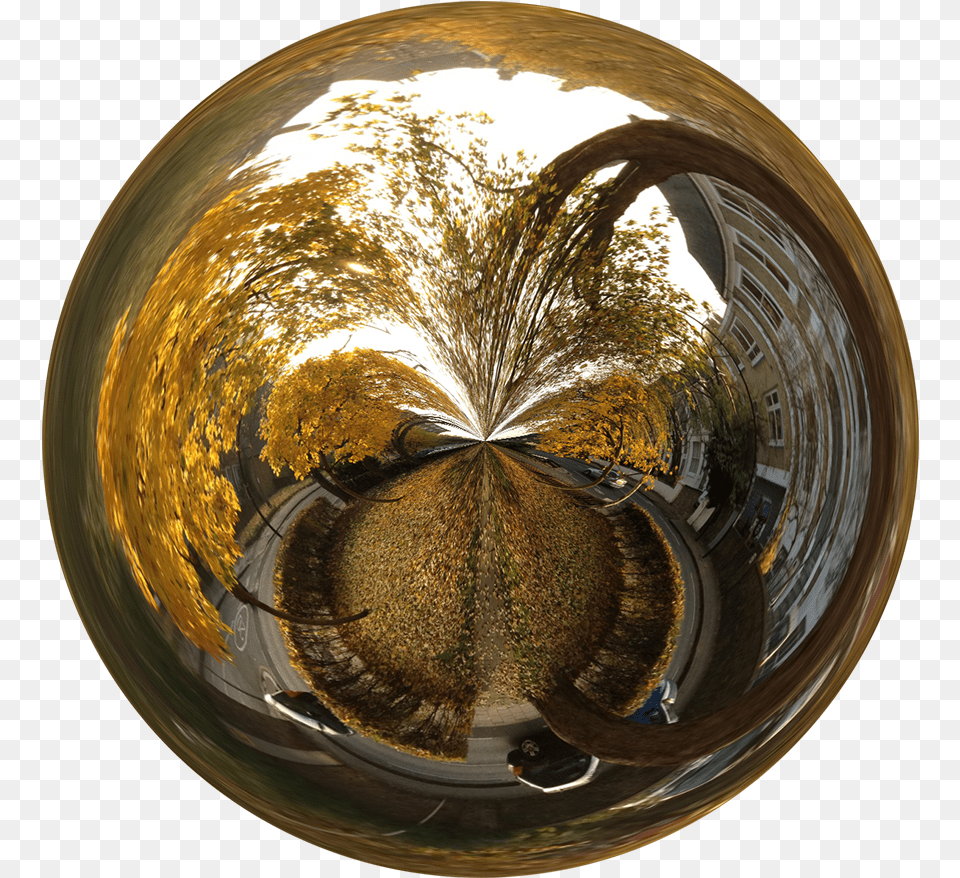 Tree, Fisheye, Person, Photography, Sphere Png Image