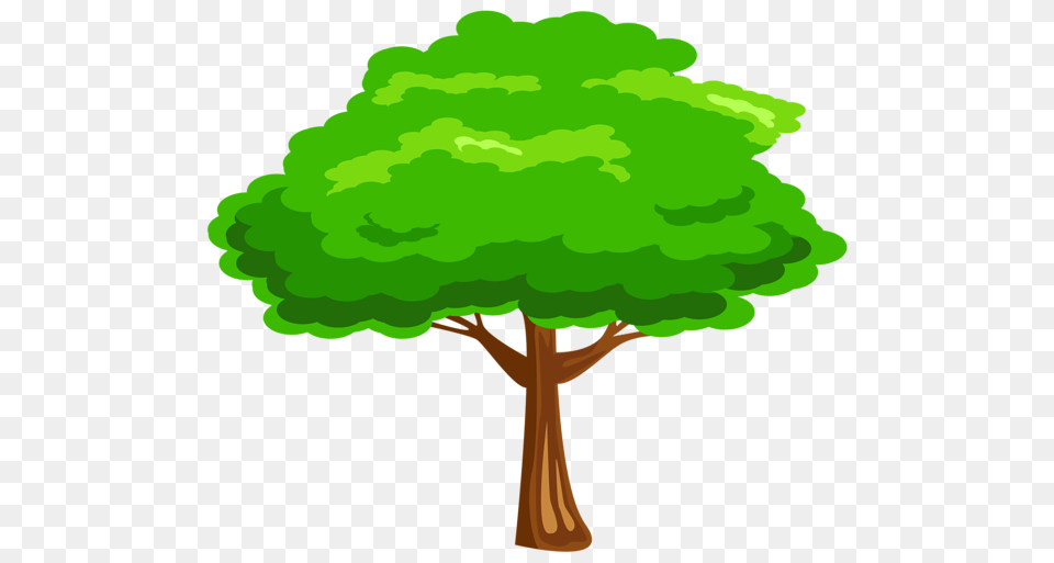 Tree, Green, Plant, Vegetation, Outdoors Free Transparent Png