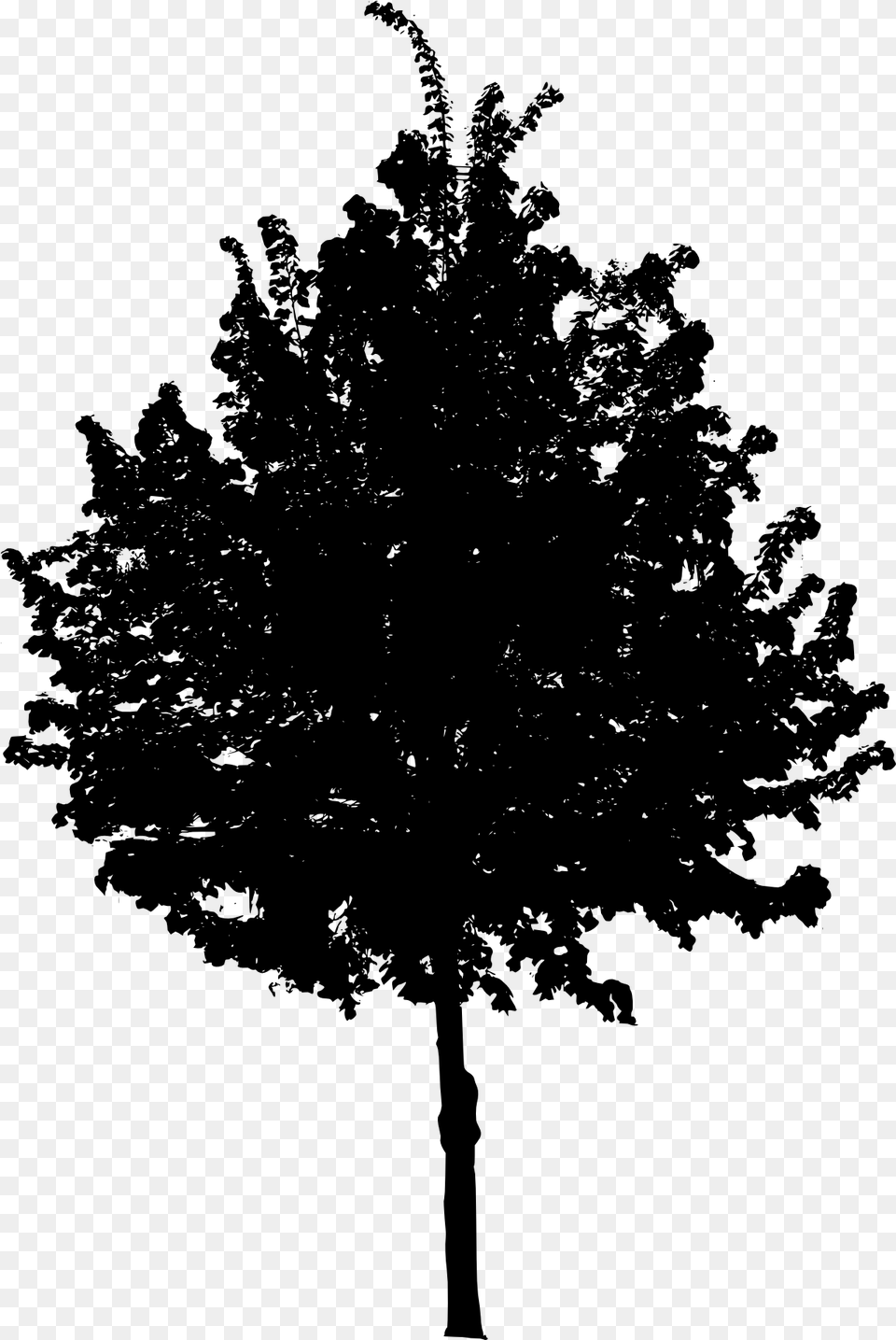 Tree 4 Black Tree, Gray Png