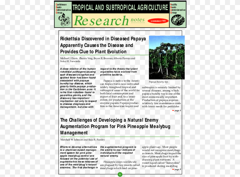 Tree, Land, Nature, Outdoors, Plant Free Png