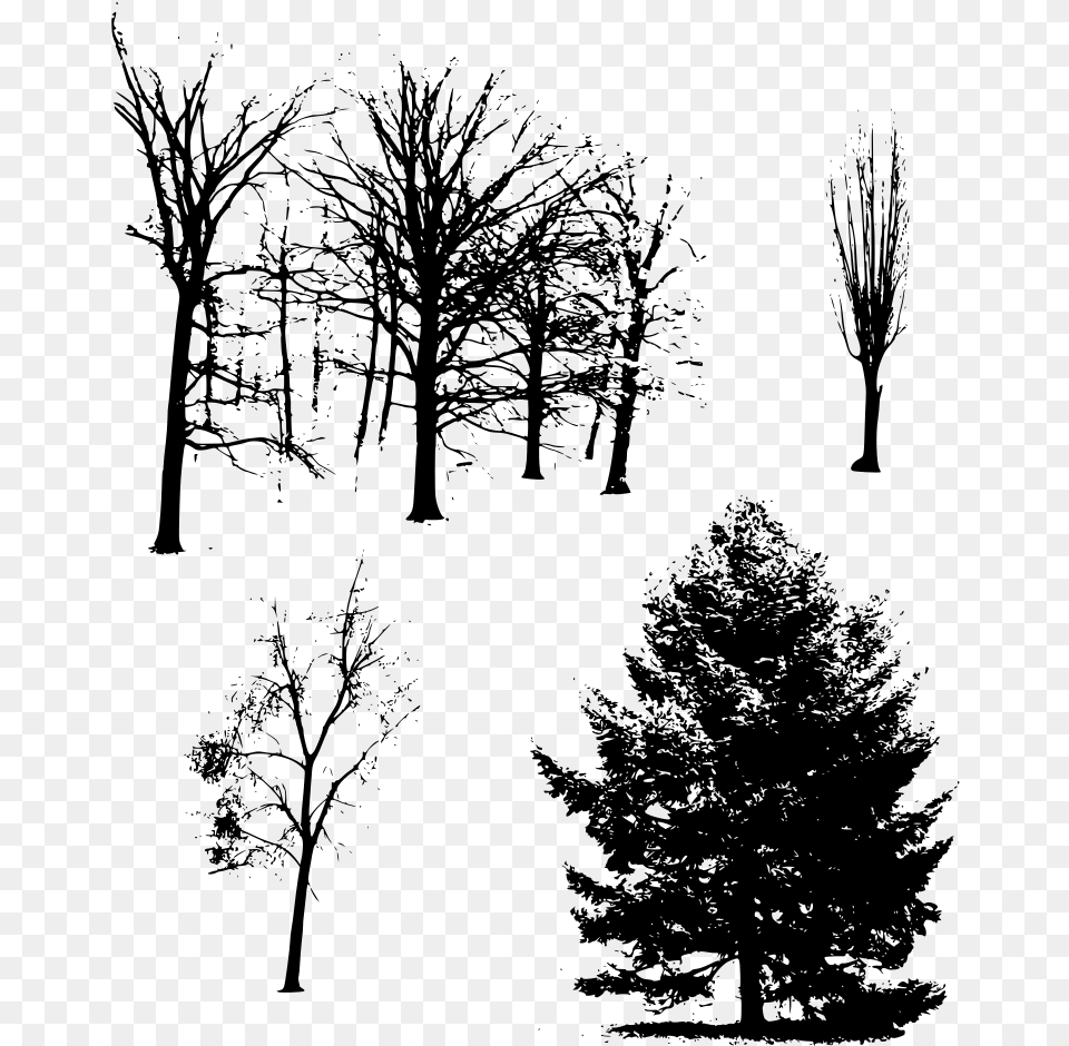 Tree, Gray Png Image