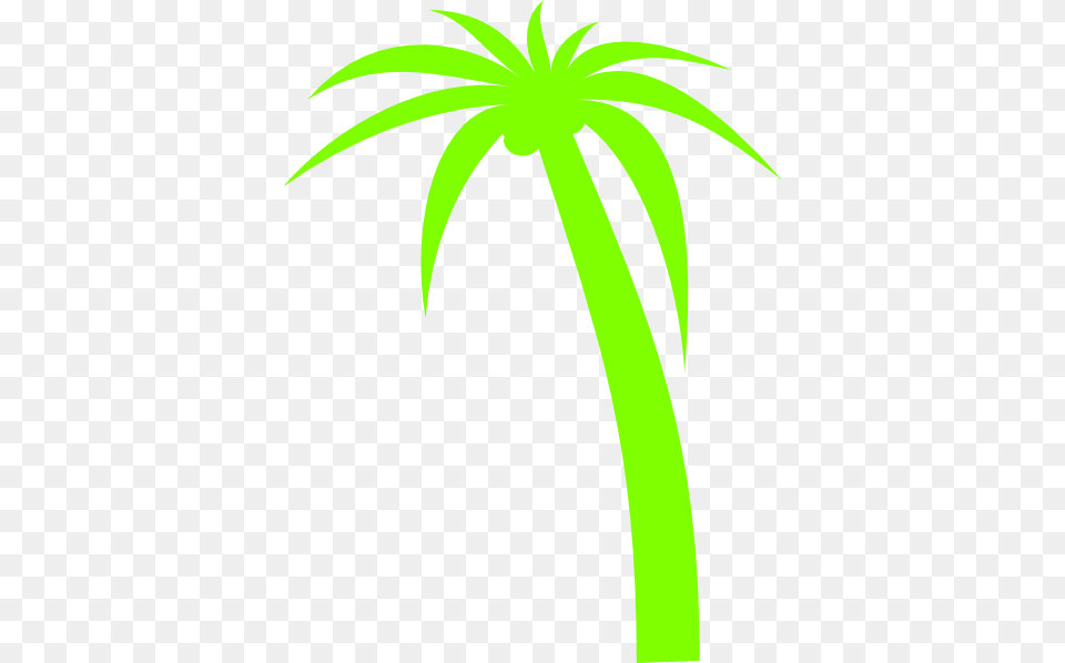 Tree, Palm Tree, Plant, Leaf Free Transparent Png