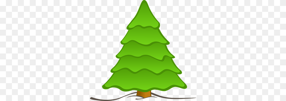 Tree Green, Plant, Fir, Christmas Free Png