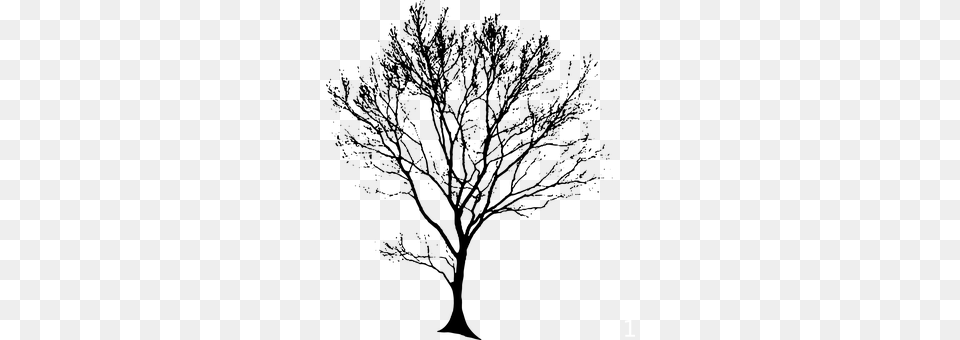 Tree Free Transparent Png
