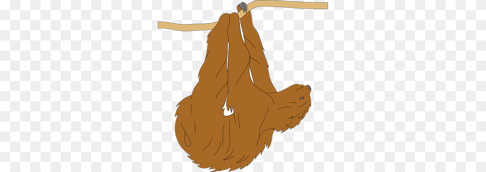 Tree Animal, Mammal, Wildlife, Sloth Png