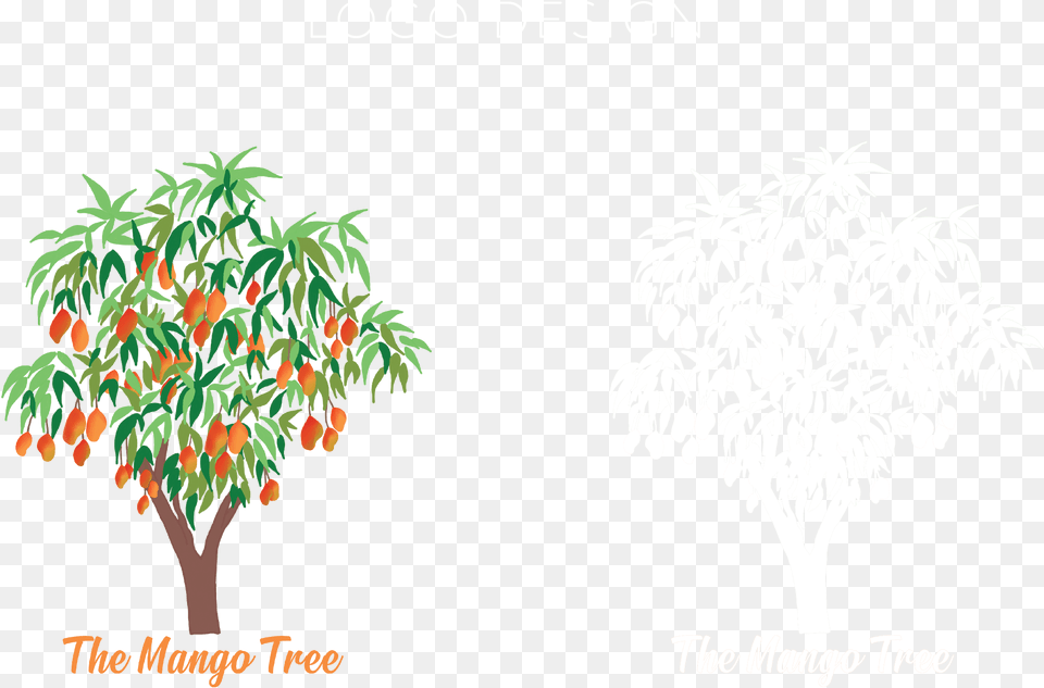 Tree, Plant, Vegetation, Herbal, Herbs Png