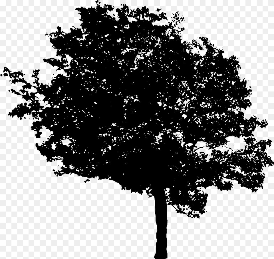 Tree 5 Portable Network Graphics, Gray Png