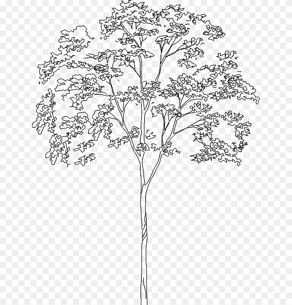 Tree 529 3d View Tree Elevation, Gray Free Png Download