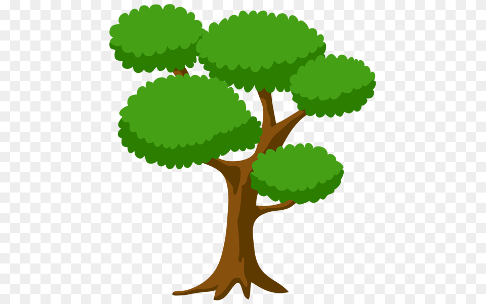 Tree, Plant, Potted Plant, Vegetation, Green Free Transparent Png