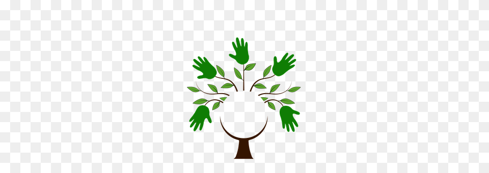 Tree Plant, Green, Leaf, Herbs Free Transparent Png
