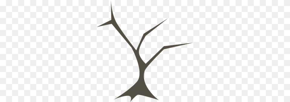 Tree Antler, Bow, Weapon Png Image
