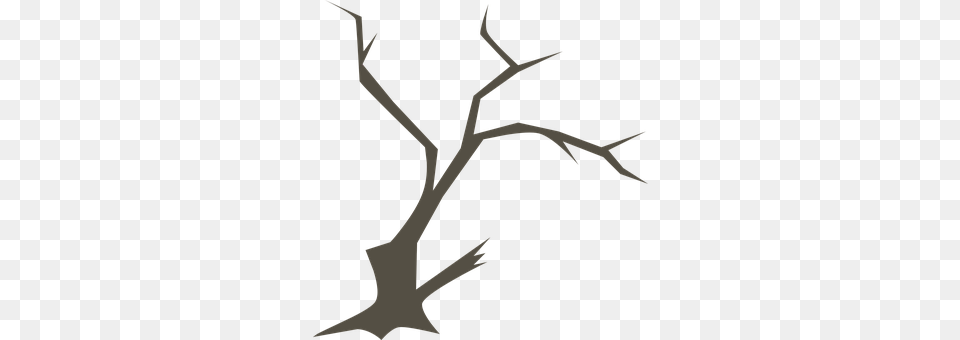 Tree Antler, Bow, Weapon Free Png