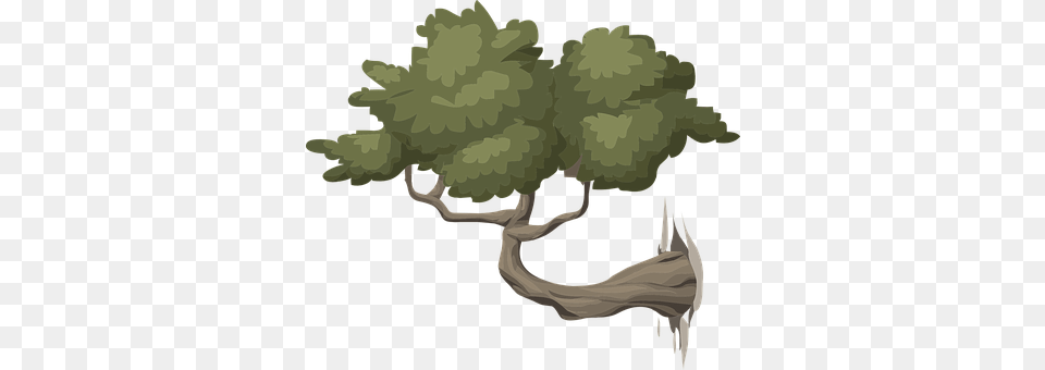 Tree Plant, Vegetation, Potted Plant, Art Free Png Download