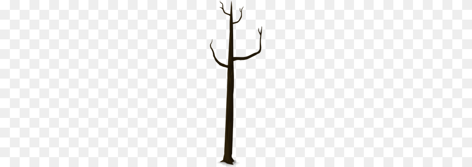 Tree Cross, Symbol, Utility Pole, Coat Rack Png Image