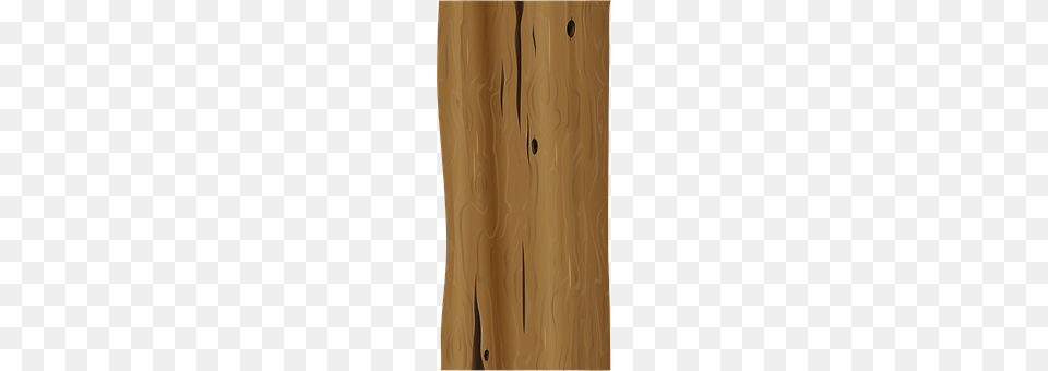 Tree Plant, Plywood, Wood, Tree Trunk Png Image