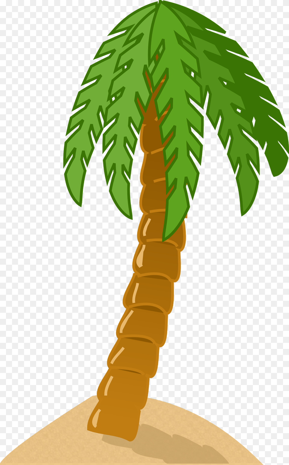 Tree, Palm Tree, Plant, Person Free Png