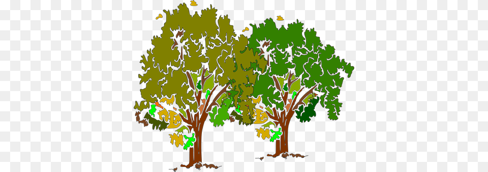 Tree Oak, Plant, Art, Vegetation Png