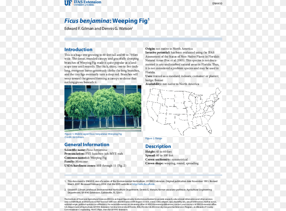 Tree, Plant, Vegetation, Chart, Plot Free Png Download