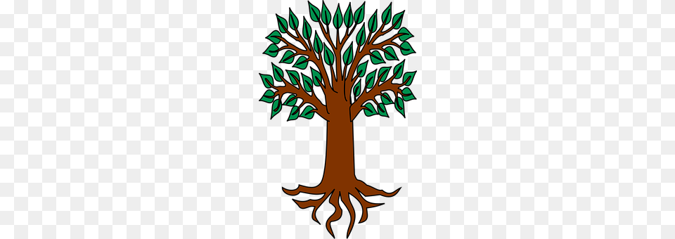 Tree Plant, Vegetation, Art, Root Png