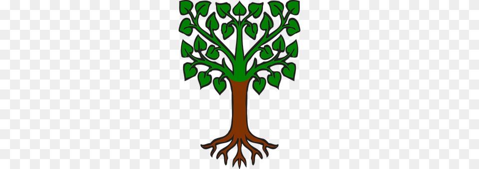 Tree Plant, Root, Potted Plant, Dynamite Png Image