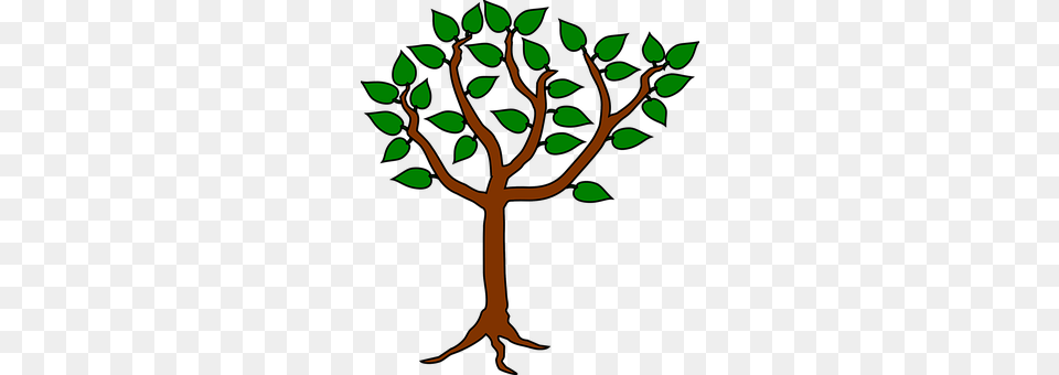 Tree Leaf, Plant, Cross, Symbol Png
