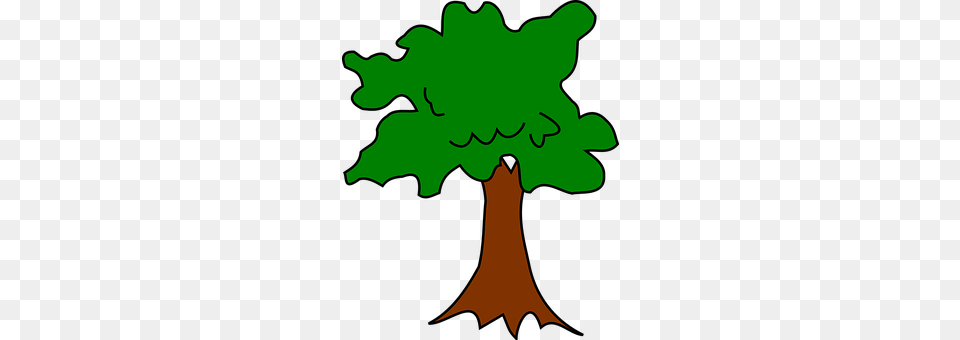 Tree Plant, Leaf, Outdoors, Vegetation Free Png