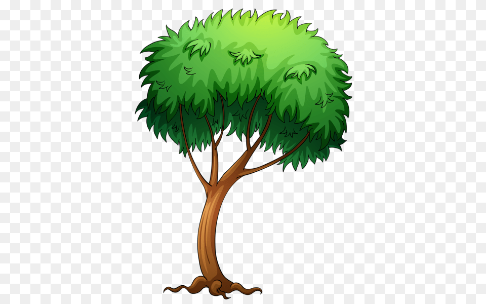 Tree, Plant, Vegetation, Green, Conifer Png Image