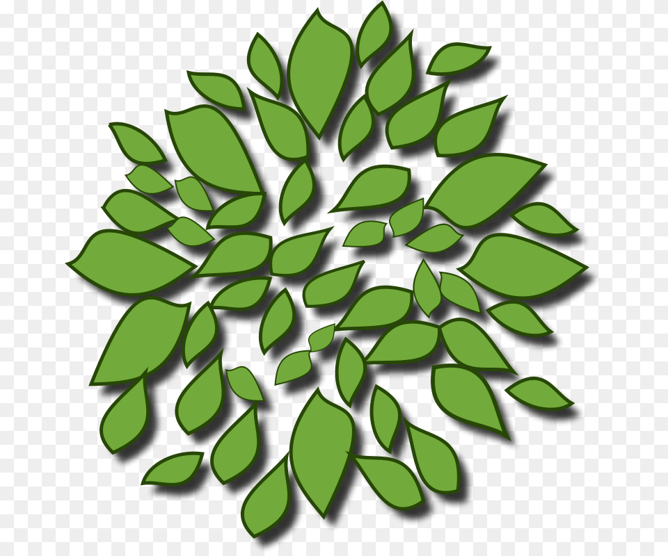 Tree, Green, Leaf, Plant, Pattern Png Image