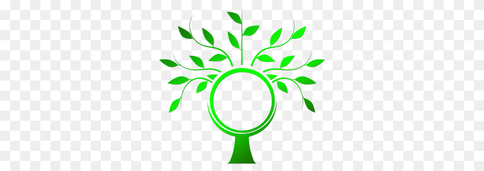 Tree Green, Herbal, Herbs, Leaf Free Png