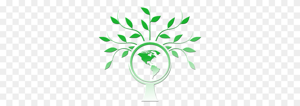 Tree Green, Potted Plant, Plant, Leaf Png Image