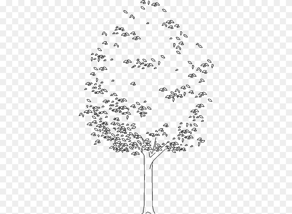 Tree 992 Elevation3d Viewquotclassquotmw 100 Mh 100 Pol Architecture Tree Drawing, Gray Png Image
