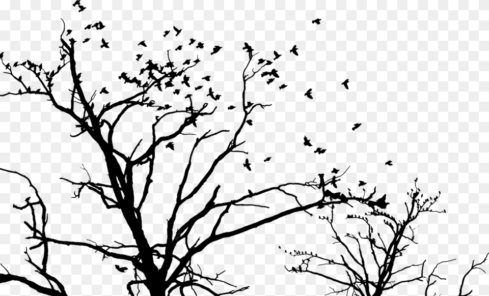 Tree And Birds, Art, Pattern, Floral Design, Graphics Free Png