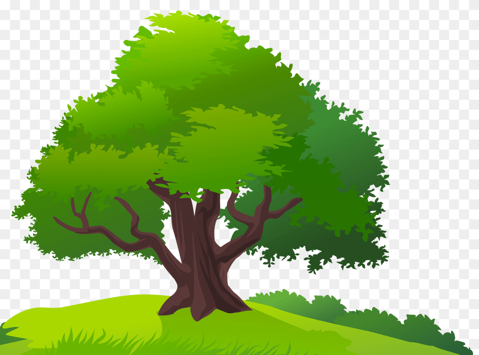Tree And Grass Clipart Image Trees And Grass Clipart Mango Tree Clipart, Green, Vegetation, Plant, Oak Png