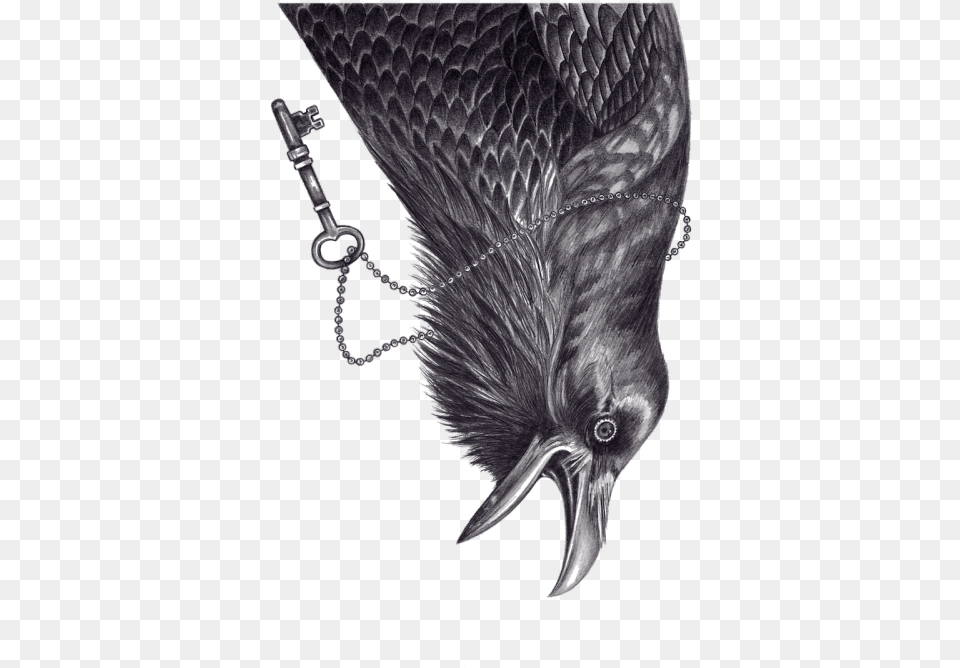 Tree And Ravens Drawing, Animal, Beak, Bird, Blackbird Free Png