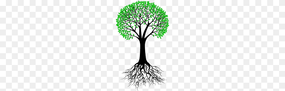 Tree And Root Vector Tree With Root, Art, Plant, Chandelier, Drawing Free Transparent Png