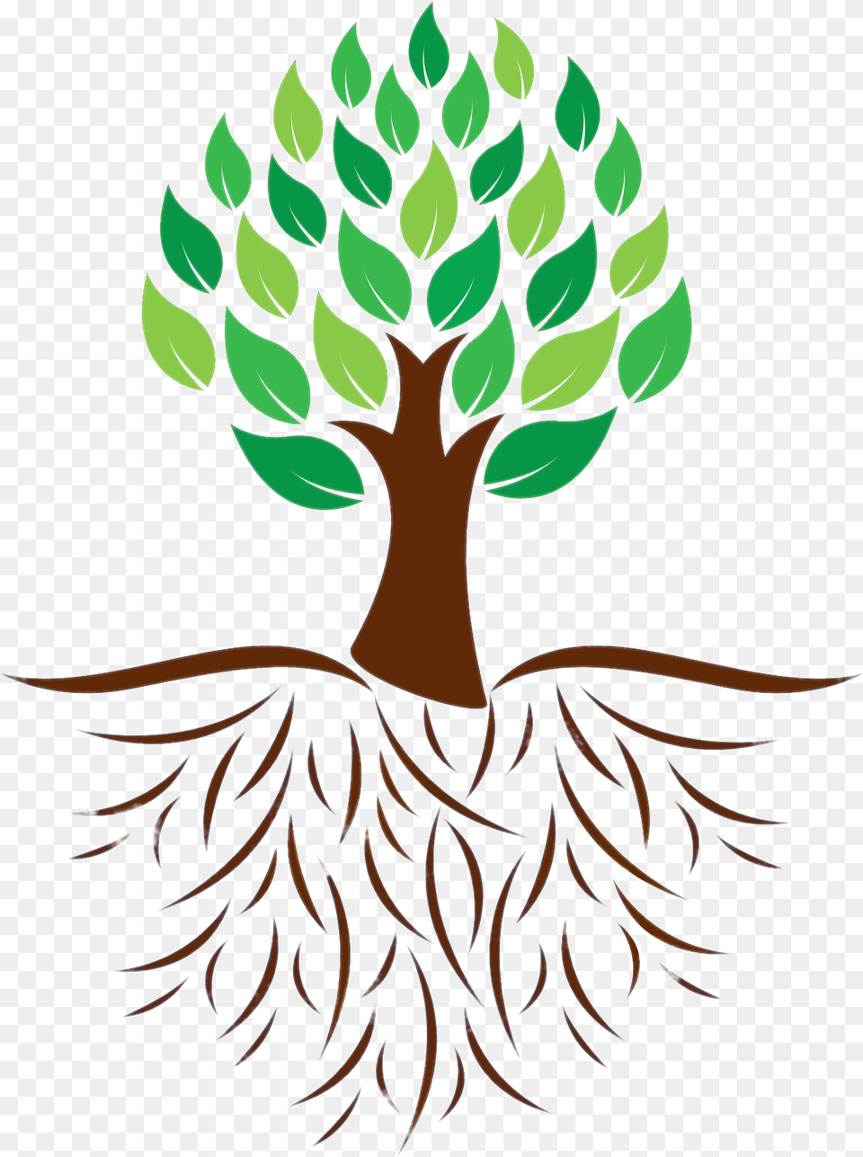 Tree And Roots Colour Illustration Tree With Roots Icon, Plant, Root, Leaf Free Png