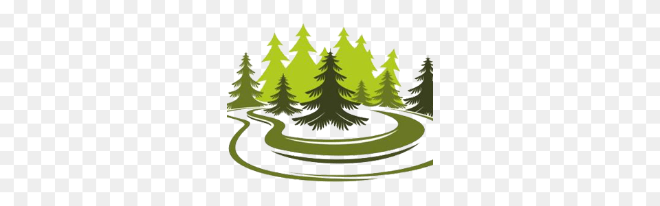 Tree And You Climate, Conifer, Fir, Vegetation, Green Png
