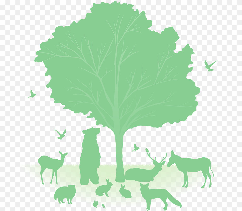 Tree Animals Silhouette In Green Clipart, Produce, Food, Animal, Mammal Free Png