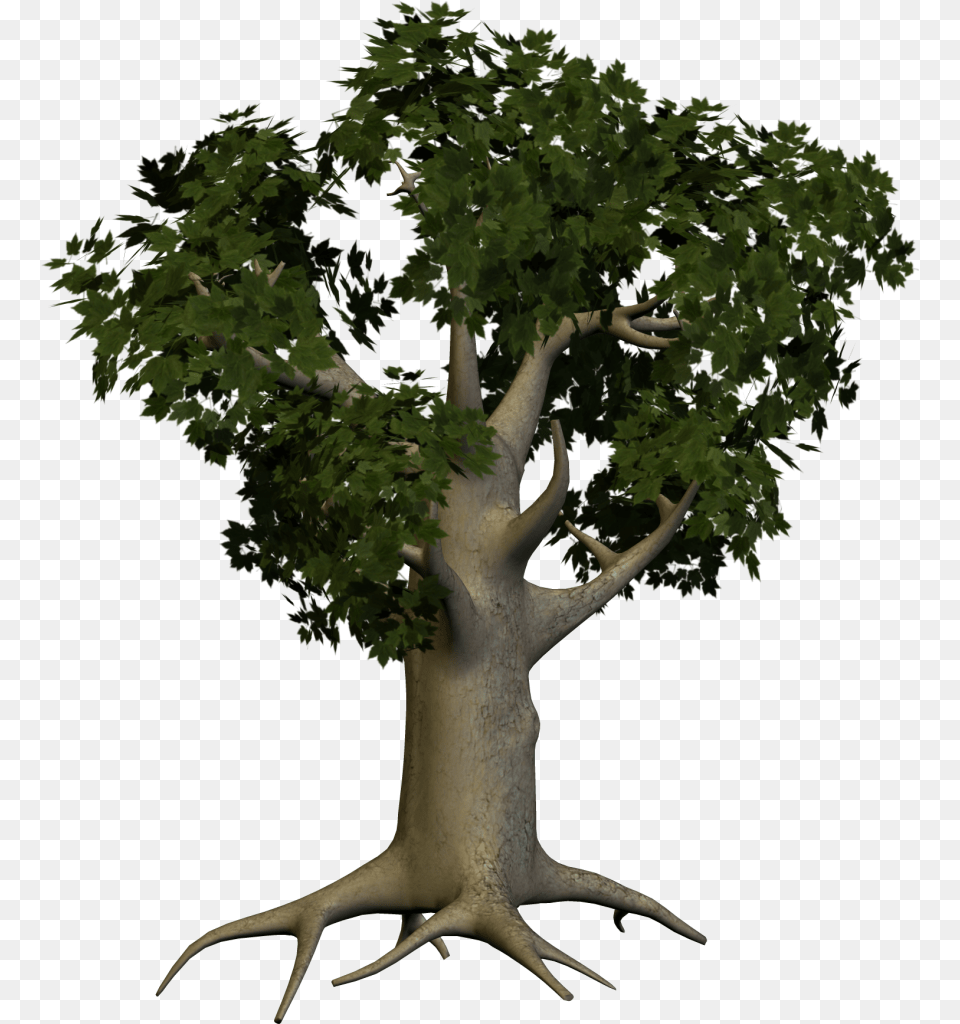 Tree Animated Tree Trunk Hd, Plant, Potted Plant, Tree Trunk Free Png Download