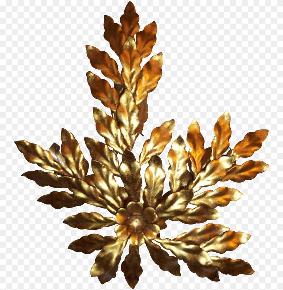 Tree Artificial Flower, Accessories, Bronze, Plant, Chandelier Free Png